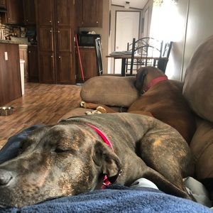 Meet your Posher, Breanna